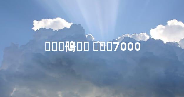 ˹˹Ӱ鳵޼۸ ˹˹Ӱ7000